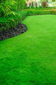 Mit Diesen Tipps Gelingt Dir Die Optimale Rasenpflege Warm Season Grass Organic Lawn Growing Grass