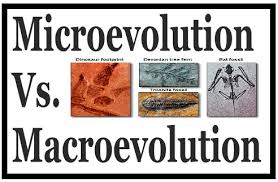 Microevolution Vs Macroevolution Microevolution Vs Macroevolution Each Living Being Has A Particular Heredit Biotechnology Jobs Animal Groups Life Form