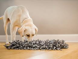 Check spelling or type a new query. 23 Best Sustainable Pet Products For Cats And Dogs