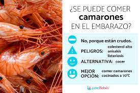 Se Puede Comer Camarones En El Embarazo Beneficios Y Peligros