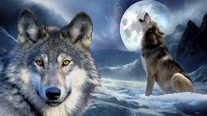 Check spelling or type a new query. Wolf Fantasy Wallpapers Group 82