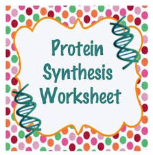 Dna transcription and translation practice worksheet with key. Pin On Life Science