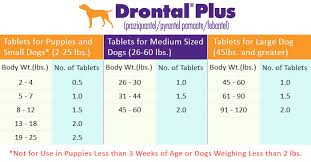 dewormer comparison droncit to drontal plus to revolution