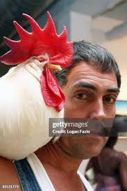 42 Wolfgang Roth Partners Fine Art Miami Grand Opening Stock Photos,  High-Res Pictures, and Images