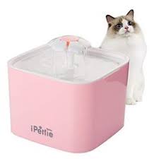 Cat water fountains are also a fantastic way to entice your pet to drink more water, because cats are known to have a very low thirst drive and cannot however, there are so many cat water fountains out there these days that it can be difficult to know which one is best for your pet and which ones are. 10 Top 10 Best Battery Operated Cat Fountain Of 2019 Review Ideas Cat Fountain Cat Water Fountain Pet Water Fountain