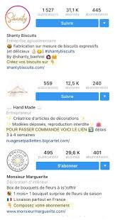 Comment Rediger La Biographie Instagram Parfaite Pour Attirer Des Followers Aurelie Moulin 3 Zestes De Citron