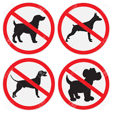 International vector pictogram warning for no pets allowed. No Dogs Allowed Sign Set Royalty Free Cliparts Vectors And Stock Illustration Image 56850698
