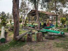 Demuelen 100 viviendas en tláhuac | noticias. Bosque De Tlahuac Things To Do In Zona Metropolitana Mexico City