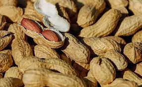 Setelah diolah, kacang bisa dimakan langsung atau dimasak kembali menjadi suatu menu. 15 Jenis Kacang Kacangan Kaya Protein Camilan Diet
