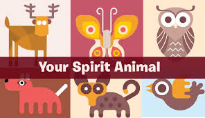 Killer whales orcas, also called killer whales, ar. What Is My Spirit Animal This 100 Accurate Quiz Reveals It