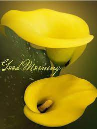 Good Morning Marathi Good Morning Images Good Morning Clips Morning Images