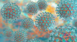 Rhinoviruses cause rhinovirus infection, popularly known as common cold. Infectious Diseases A To Z Rhinovirus Elite Learning