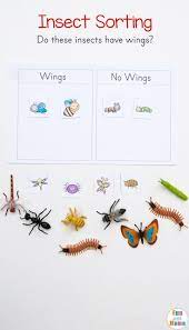 Preschool Insect Theme Sorting Worksheet Bug Activities Insects Theme Preschool Insects Preschool Bug Activities