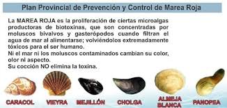 Durante el día viernes se efectuaron allanamientos en zona de playa larralde donde se secuestraron armas de fuego y elementos utilizados para la posible comisión del delito, y se identificaron vehículos y embarcaciones. Se Establecio Veda Precautoria En Playa Larralde