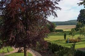 A(z) bad laer nevű városrészben helyezkedik el, amely a város egyik legfelkapottabb környéke. Landhotel Ridder Bad Laer Aktualisierte Preise Fur 2021