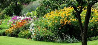 Why grass fertilizer are so crucial? Australia S Best Liquid Fish Fertiliser Charlie Carp