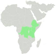 Image result for Subularia monticola