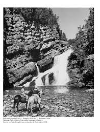 Risultati immagini per CAMERON CREEK FALLS Alberta canada