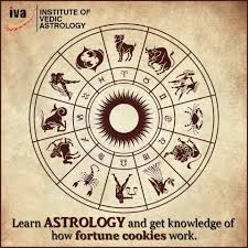 Hello friends, in this video i go over the best way to unlock the. Institute Of Vedic Astrology Reviews The Power Of Zodiac Signs Iva India Blog
