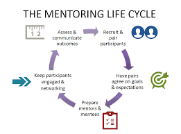 Action for racial equity june 2021. Jump On Board The Mentoring Life Cycle Everyone Is Doing It Apqc
