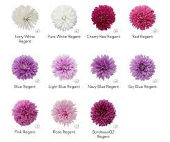 Aster is the scientific name of a genus belonging to the family asteraceae. New Exciting Prospects In Asters Breeding