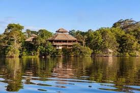 Resultado de imagen para que es la amazonia aqui en ecuador