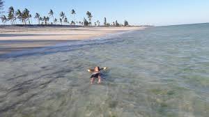 As well as bordering the neighboring country of tanzania. Pemba Cabo Delgado Home Facebook