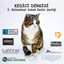 Kadikoy Belediyesi Haydi Kedi Evi Yapmaya Kedici Dergisi Nin Duzenledigi Sokak Kedisi Senligi Pazar Gunu Saat 14 00 De Yogurtcu Parki Nda Gerceklesiyor Kedici Lerin Hem Sokak Kedilerine Destek Olacagi Hem Hep Birlikte Keyifli Bir Pazar