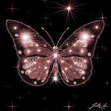 Multiple butterflies on a flower. Gifs Beautiful Butterflies 120 Pieces Of Animated Pictures
