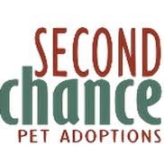 Tim chlopowicz is one of their volunteers who has found a fun a way to fundraise and support the cause. Second Chance Pet Adoptions Raleigh Nc Alignable