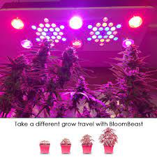 Bloombeast grow light lamp a900 using bridgelux & epistar leds which not easy to burn out. Bloombeast Bring This C850 Led Grow Light To Your Plant Facebook