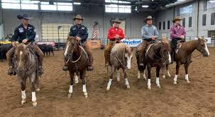 Check spelling or type a new query. Who They Rode Trainers Bring Top Horses To Yellowstone Tv Show Quarter Horse News
