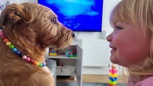 Fundraiser for Rachel Munn by Rosa Tarry : Donate to save Chester's leg