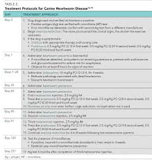 Canine Heartworm Disease Principles Of Treatment Todays