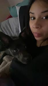 Lost black t-shirt dog with heart name tag