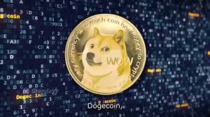 Doge, the shiba inu meme. 1155 Technology Gifs Gif Abyss Page 8