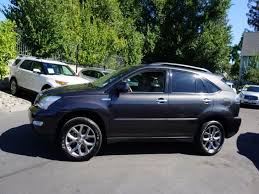 Image result for Desert Sage 2009 RX