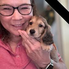 What is the color of my 7-month-old Dachshund?