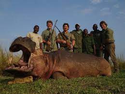 Pierre van tonder big game safaris. Facebook