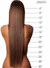 Women S Shorts Lengths Guide Google Search Hair Inches Hair Lengths Hair Length Chart