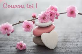 Amie précieuse qui méceremony les choses les plus merveilleuses, je t'offre un ciel bleu et des fleurs aux mille senteurs. Jolies Cartes D Anniversaire Dromadaire