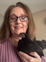 ✨️Tailless, blue legs & Micro hen✨️🤏🫣