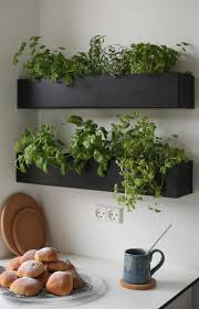 Wallbox Herb Garden In Kitchen Kitchen Herbs Indoor Herb Garden