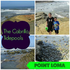 Cabrillo Tidepools On Point Loma San Diego Masshole Mommy