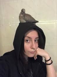 My new baby Dove 🕊 😍 💕