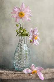 Anemones Flower Art Painting Flower Painting Floral Painting