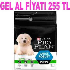 proplan puppy robust tavuklu yavru kopek mamasi 12 kg amazon pet center yavru kopek kopek biyotin