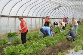 Image result for tbn:0PJB32OL7JwfOM::farm4.static.flickr.com/3324/3329876139_f2d551139f.jpg