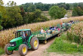 Our goal at allaire community farm is to utilize our rescued animals and working farm environment to nurture through nature. Cream Of The Crop 10 Best Farms For Family Fun And Entertainment In Nj Mommypoppins Things To Do In New Jersey With Kids