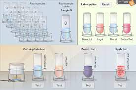 6th grade homework 2nd 9 weeks. Identifying Nutrients Gizmo Lesson Info Explorelearning